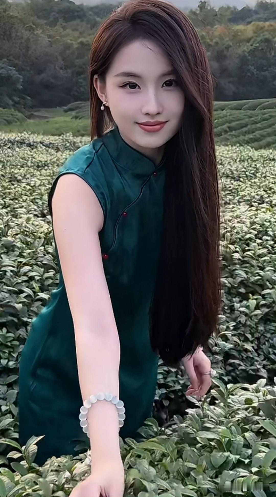 美女前往茶园拍照。她身着国风旗袍，于翠绿茶树间格外夺目。时而伸手托腮、轻撩秀发，