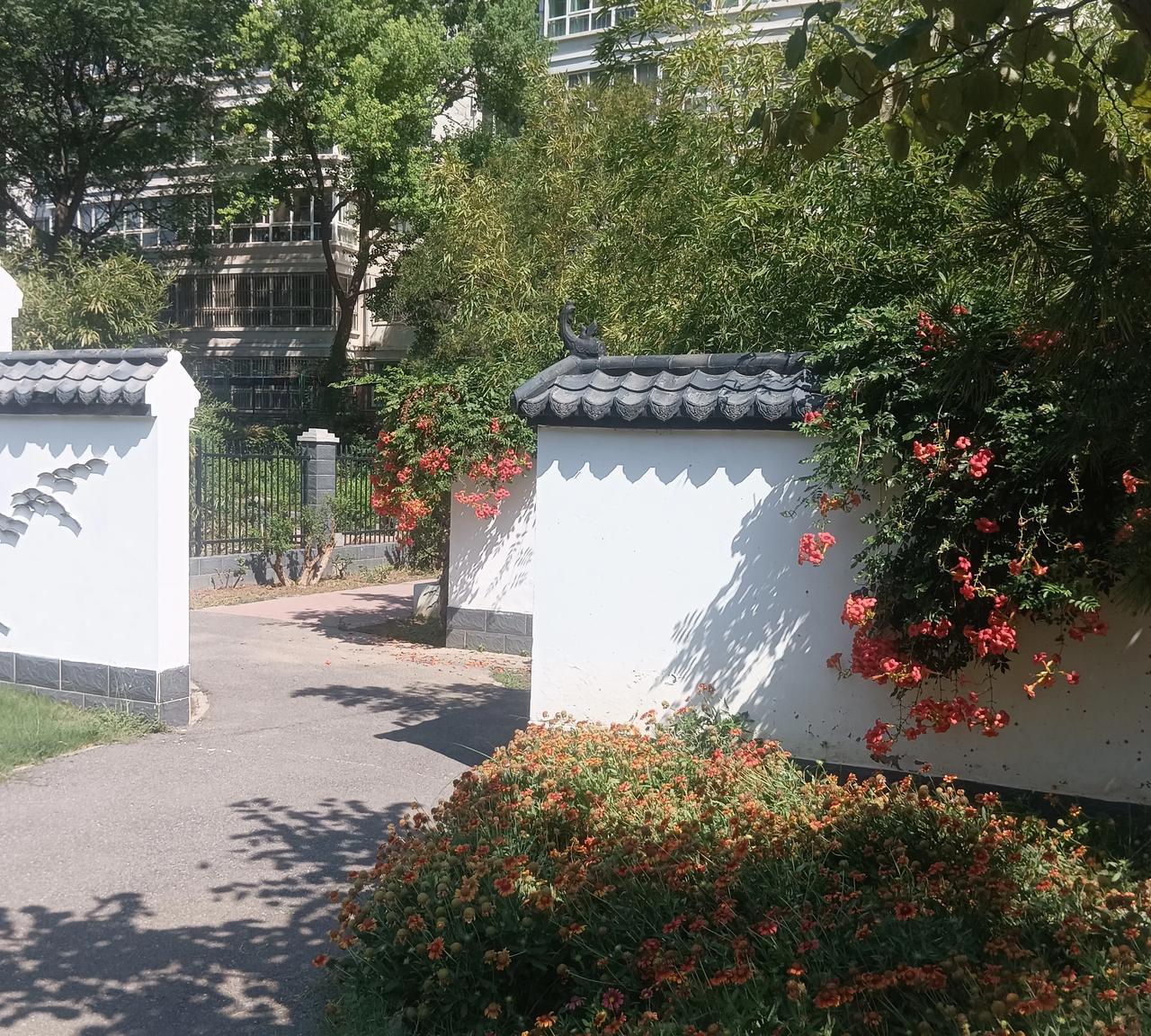 友友们，想要长寿吗？想要过上高质量的晚年生活吗？给你们介绍世界上最牛的10位医生