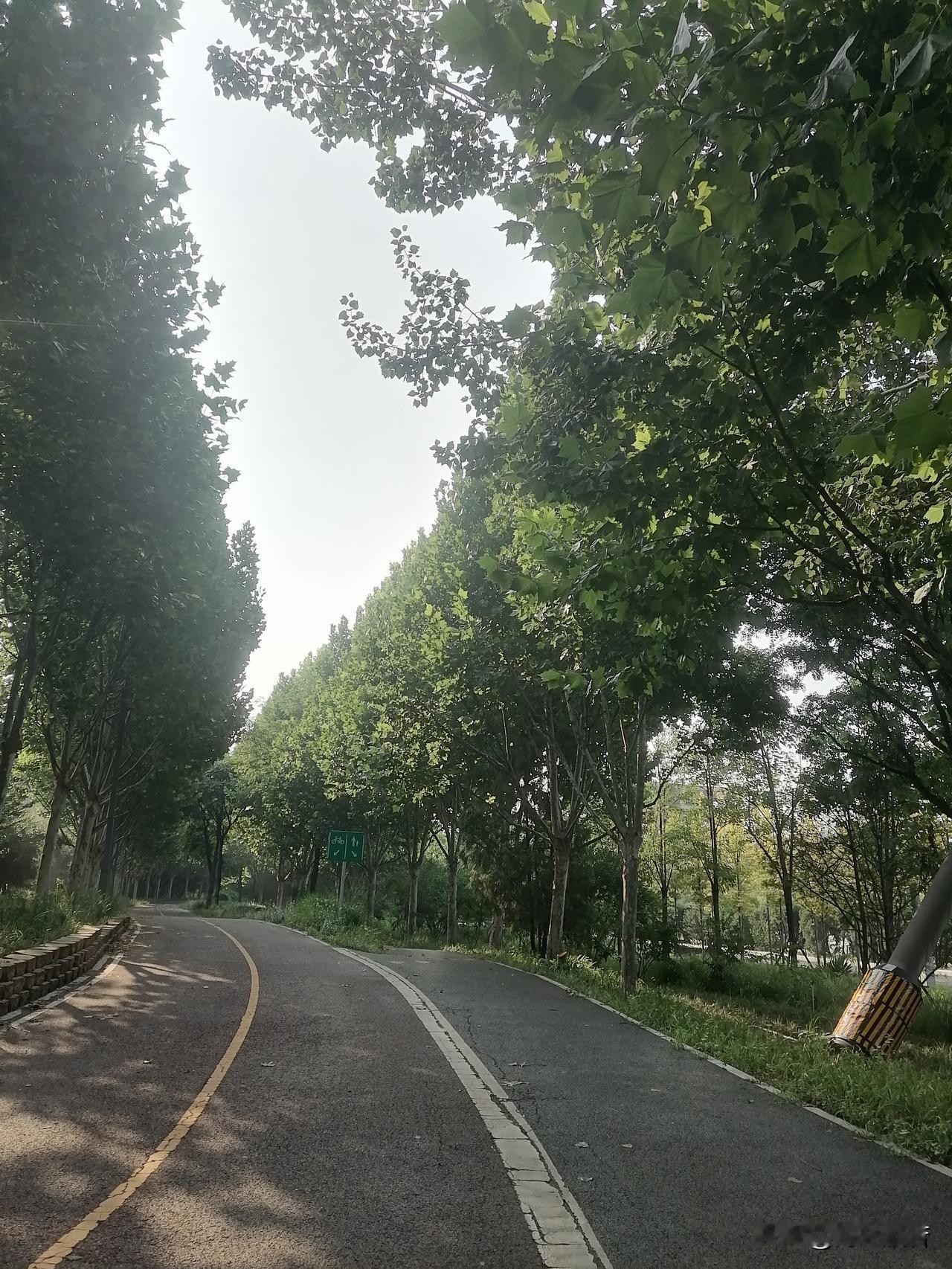连沈阳都出现35℃高温了确实是啊，何止35℃，个别地方已经达到40℃。以前可不是