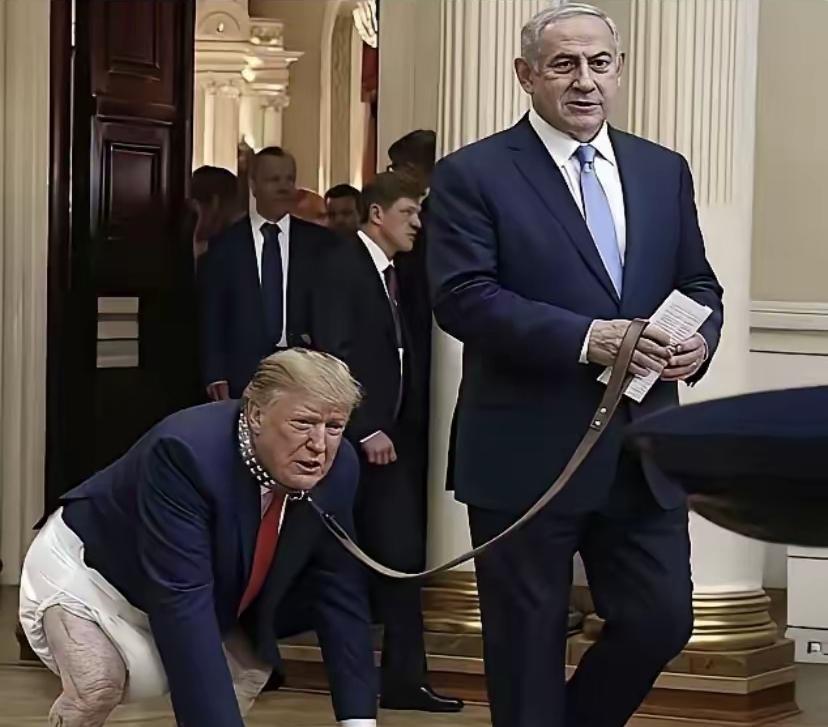 我去！天呐，网友做的这个图，川普看到还不得很生气！