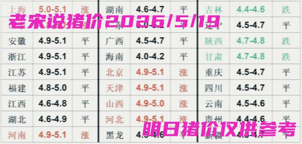 2026年5月19日全国生猪价格行情继续低位震荡，上半年行情没见好转，市场低迷，
