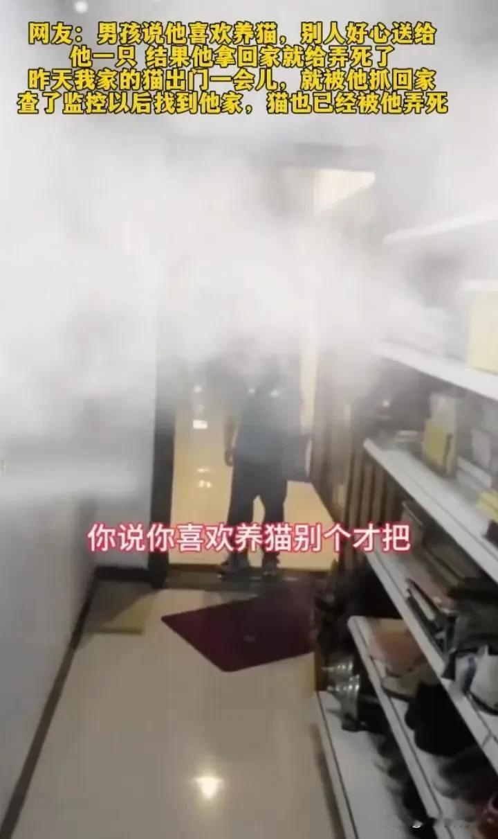 今天看到一则令人痛心的视频：一名小学二年级男孩将他人赠送的小黄猫残忍踩死，小猫身