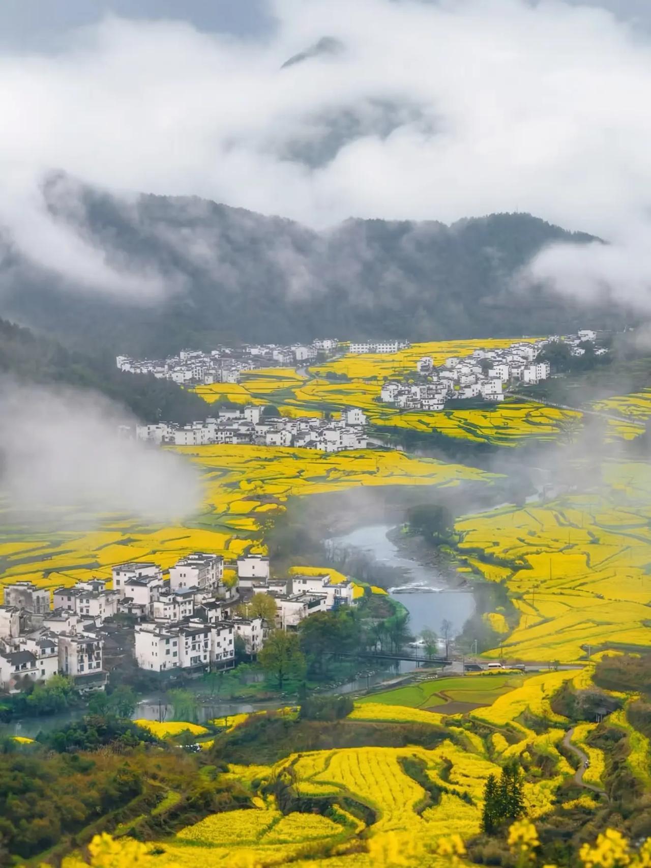 昨天和一位初二学生的家长聊天，这位家长本身就在教育行业工作，可以说是专家级别的。