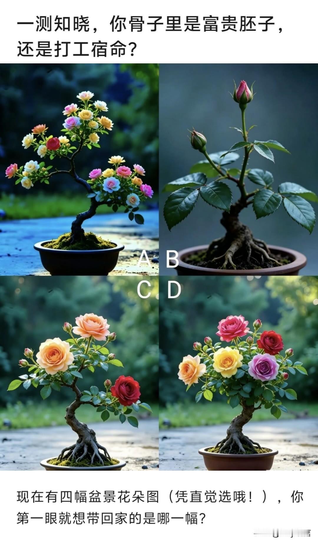 ?现在有四幅盆景花朵图(凭直觉选哦!)，你第一眼就想带回家的是哪一幅?