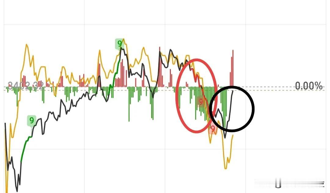 看吧，只要某队不干预，大盘就会跳水，所以这就是为了护盘而护盘，并不是真正意义上的