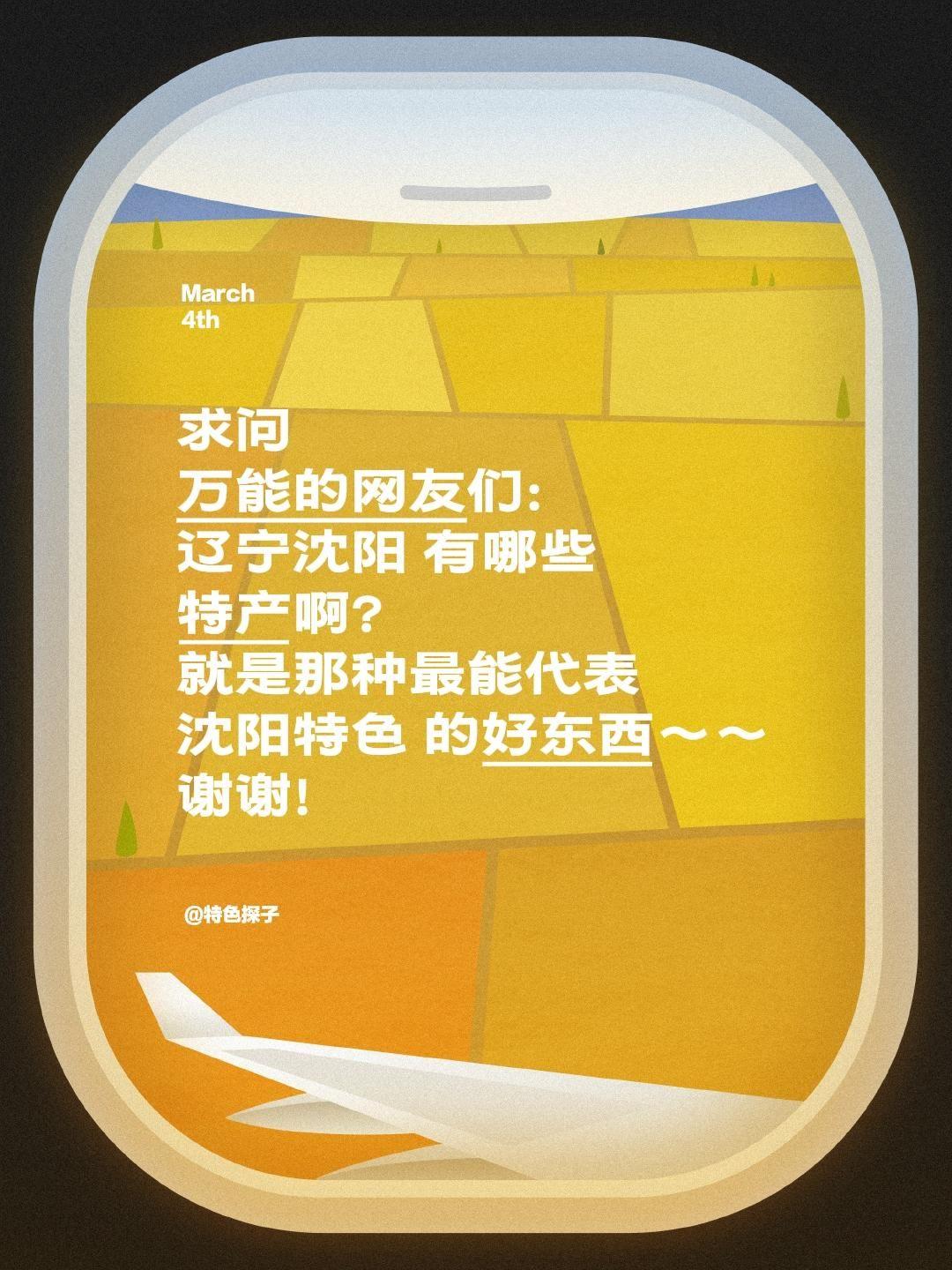 求问！辽宁沈阳到底有哪些正宗特产？家人们，我要寻遍各地特色，现在想深入了解