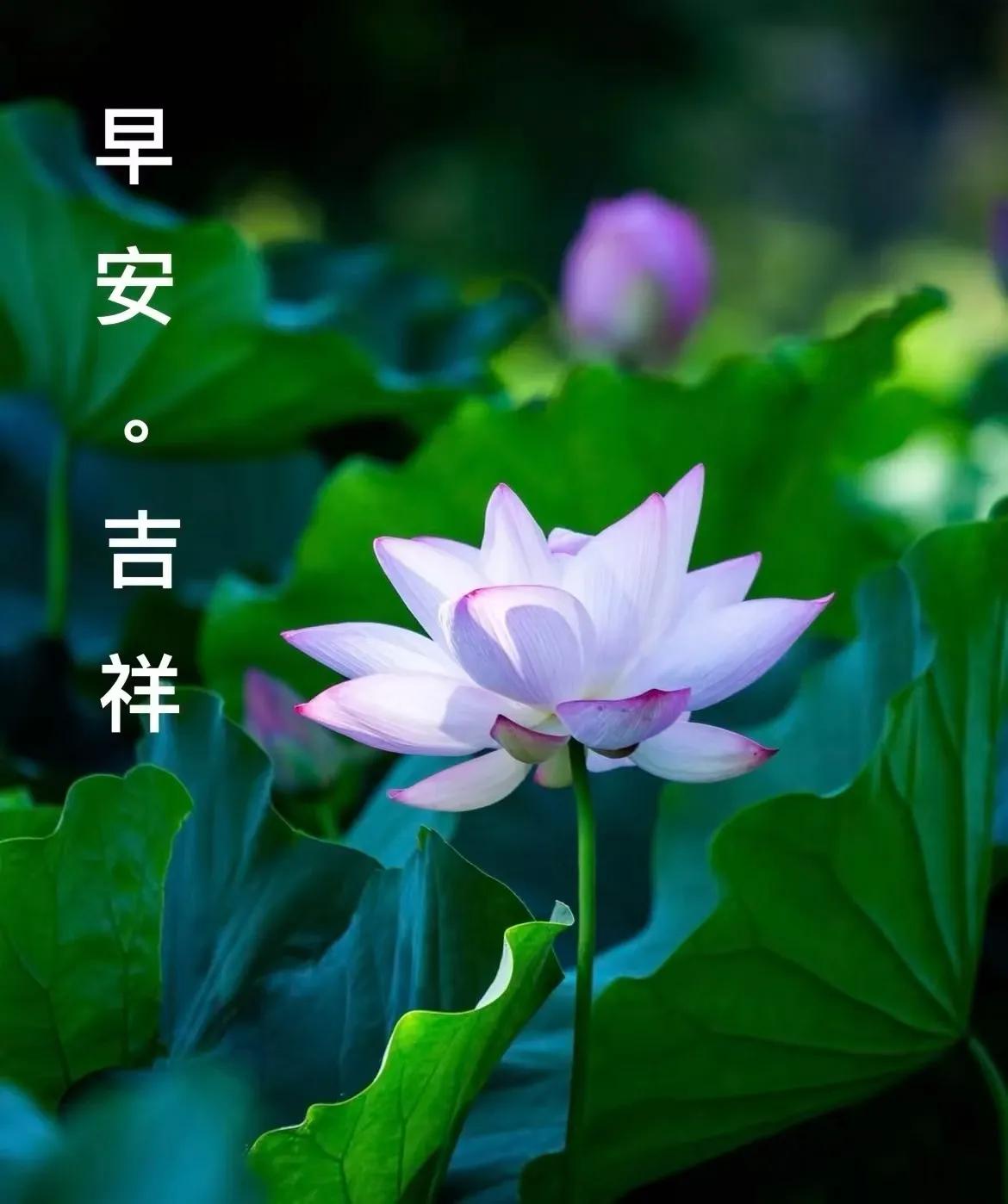 時間陪我們漫步人生，幸福陪我們春夏秋冬，友誼陪我們一起到老，牽掛陪我們有始