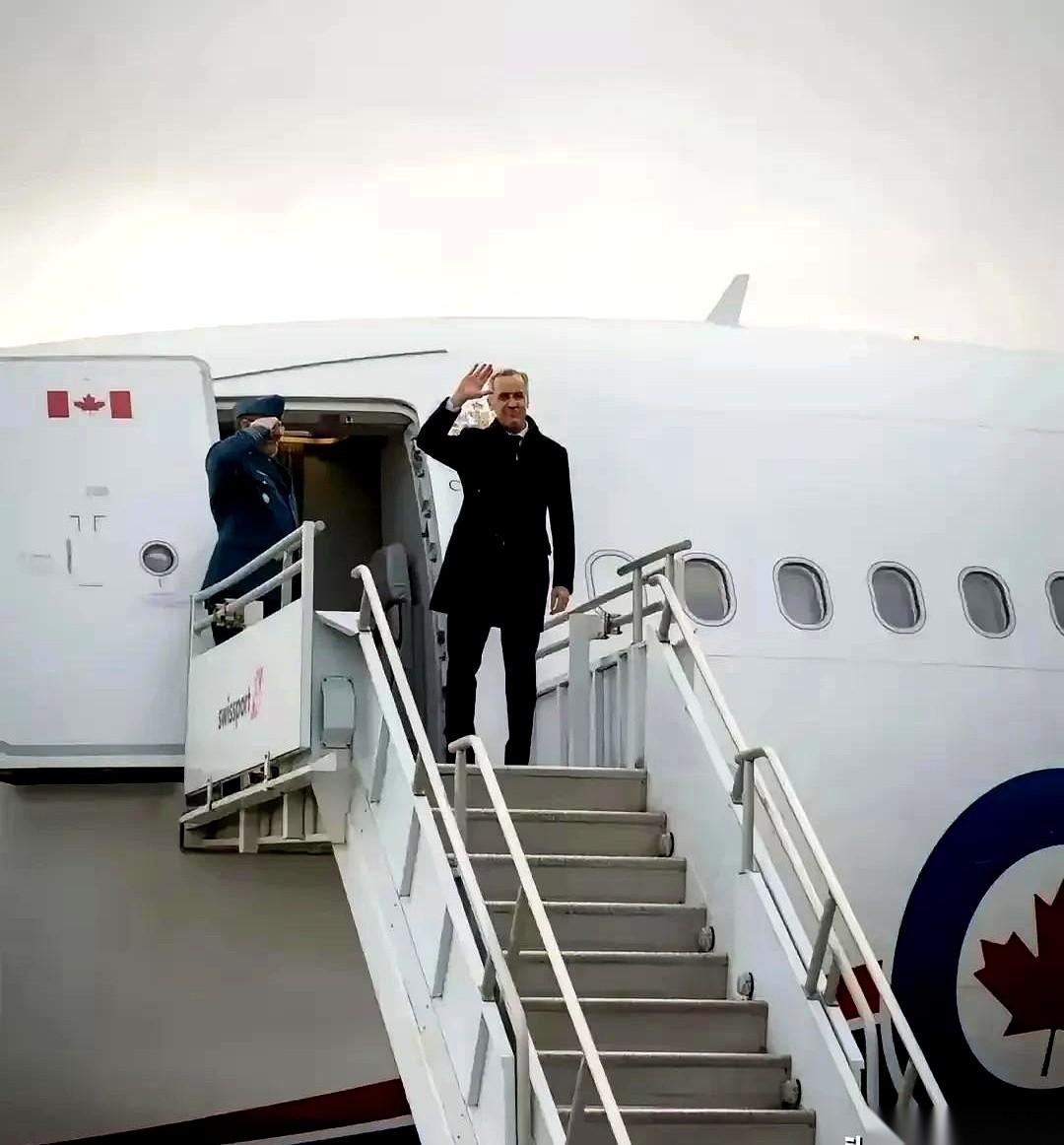 我跟你说，最近看这帮外国政客的表演，真给我看乐了。前脚刚走，飞机轮子还没收利索