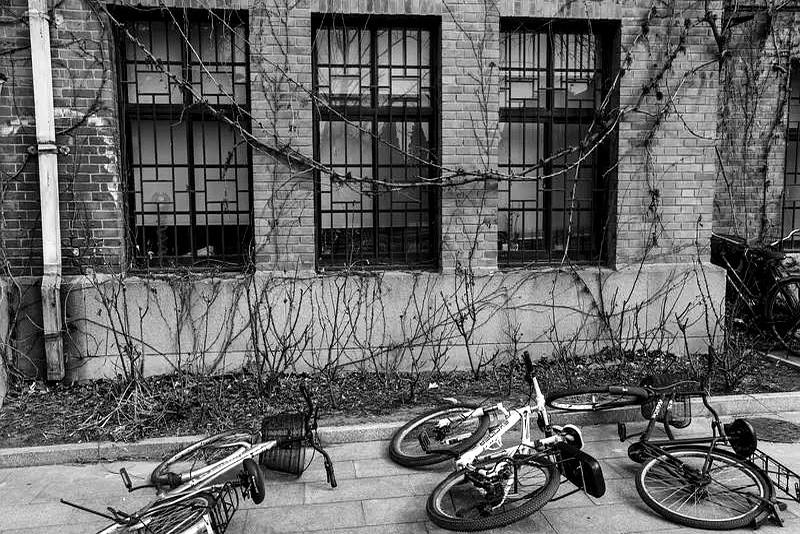 清华园里一间60平米没装电梯的老教工宿舍，住着一位别人传她推着几十个箱子飞英国