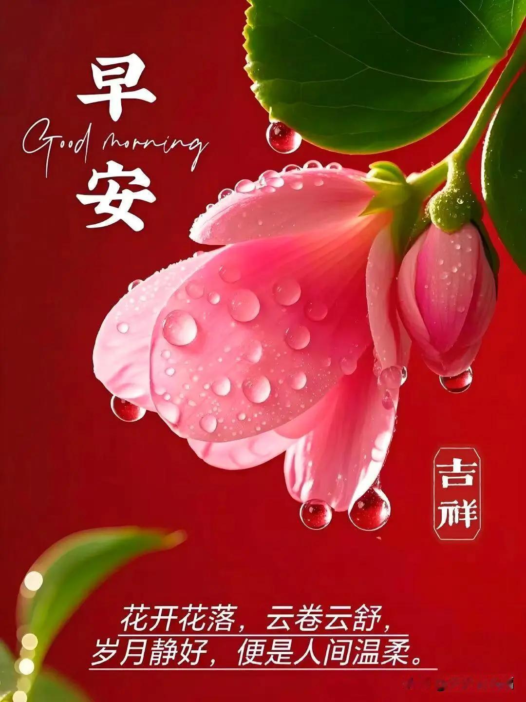 3月4日-早上祝福语唯美图片，早上好漂亮问候图片祝福语早上好朋友幸福藏在糊