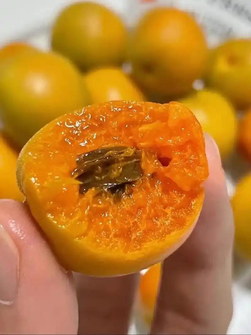 新疆阿克苏美食，吊干杏｜树上流蜜美味攻略！一年只吃20天的限定美味，错过等一年
