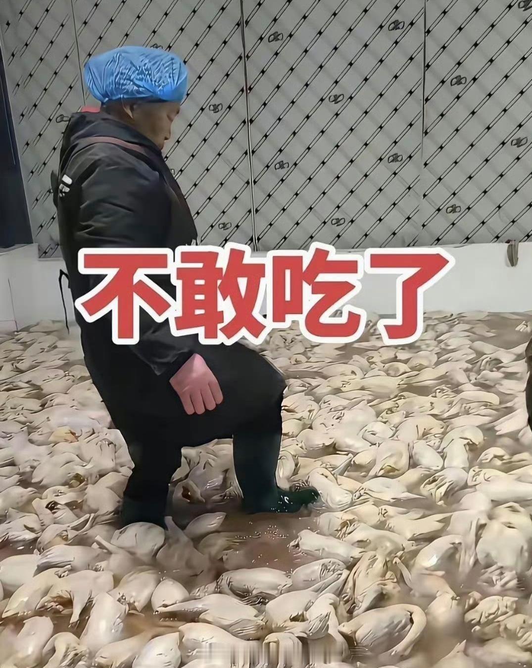 惊呆了，给孩子看看还敢吃吗？