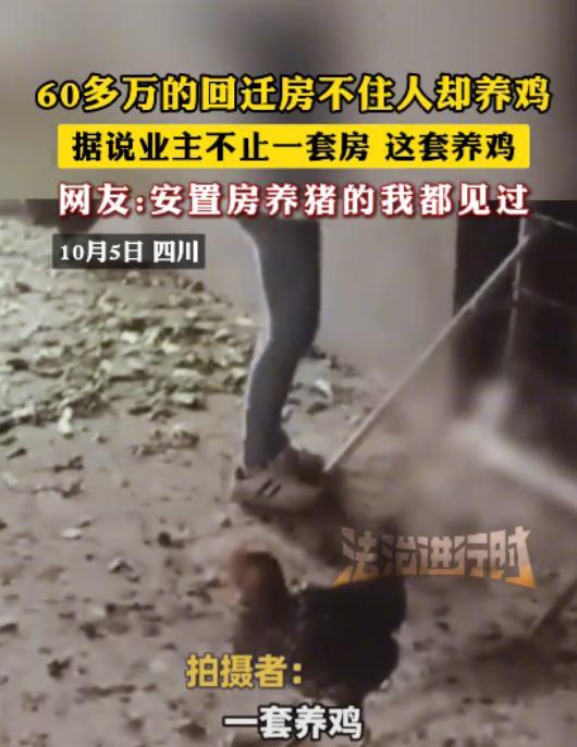 “太缺德了！”10月5日，四川内江，一男子在家时，总感觉能闻到一股鸡屎味，于是他