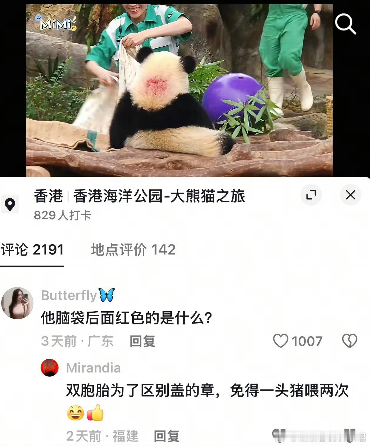 刷到这个笑得我喘不上气[笑着哭]迷惑行为大赏​​​