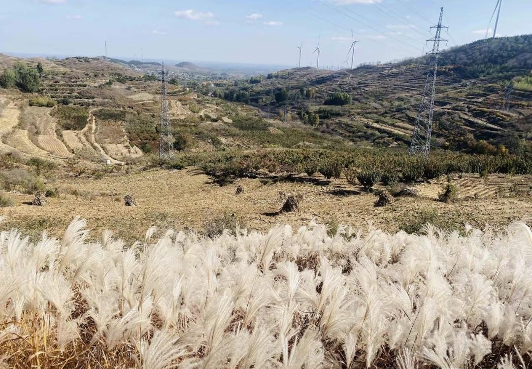 最近认识个退休老太太，每天早上带瓶水和面包坐公交。哪路车她都试，专挑没坐过的线路