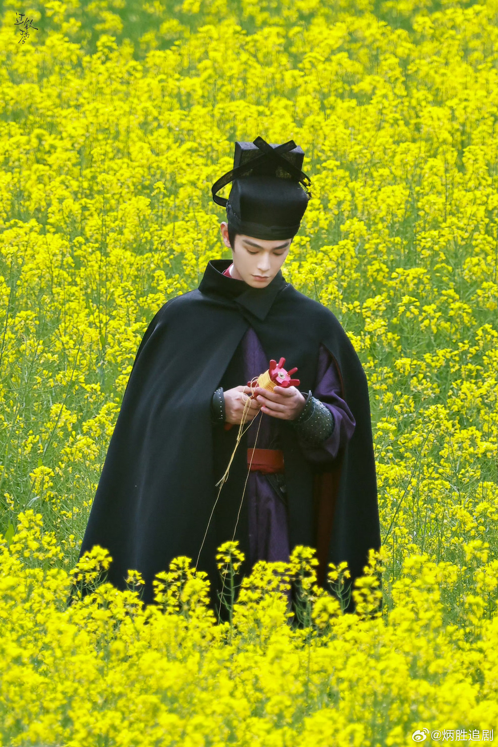 丁禹兮《司宫令》今日路透，金黄油菜花海，好权威的脸！