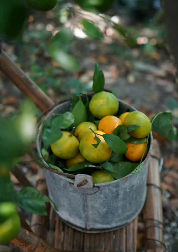 生活就是做简单的事…”