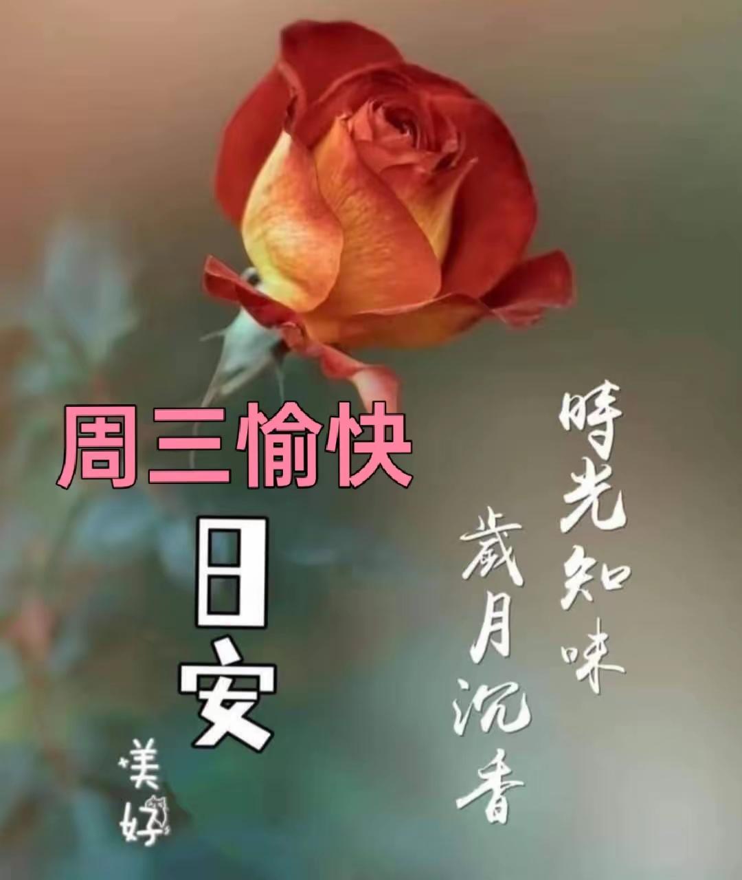 周三暖心早安｜守住健康与好心态，便是人间好时节早上好☀️身体好，才拥有生活的