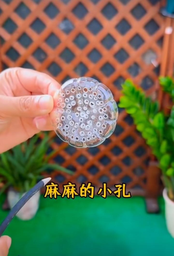 矿泉水瓶养花小妙招你知道吗？把矿泉水瓶一分为二，上下两个部分分别打孔，我们放到