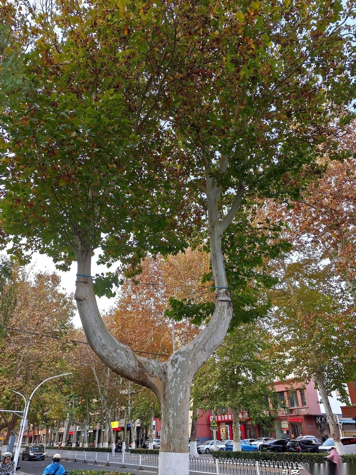 刷到个热搜，说我们山东全运会多牛逼。讲真，我一点都不意外，甚至有点想笑。你们