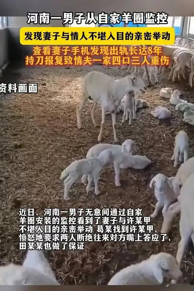 **他沉默了八年，最终用暴力撕开了所有人的伪装。**河南新乡，一个普通羊圈的