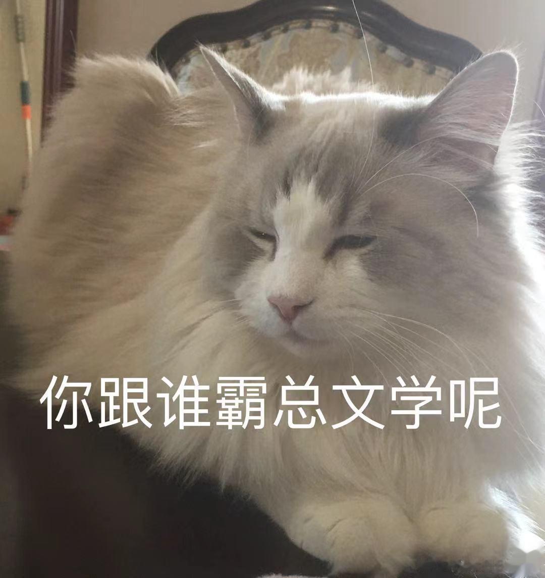 新年有乐事萌宠猫咪表情包