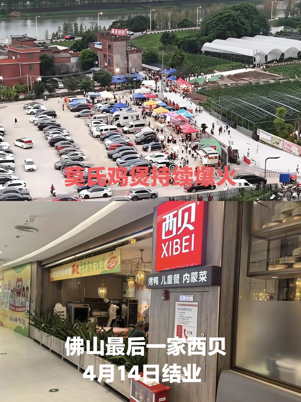 佛山最后一家西贝餐厅结业，而位于顺德的莫氏鸡煲持续爆火，形成了鲜明的对比。在广东