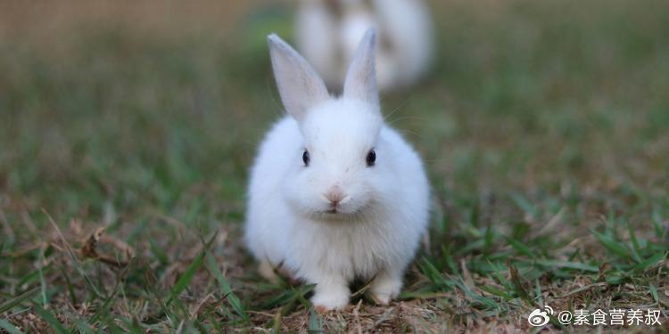 好消息传来！欧盟达成了一项具有里程碑意义的协议，决定禁止对清洁剂（洗涤剂）及其相
