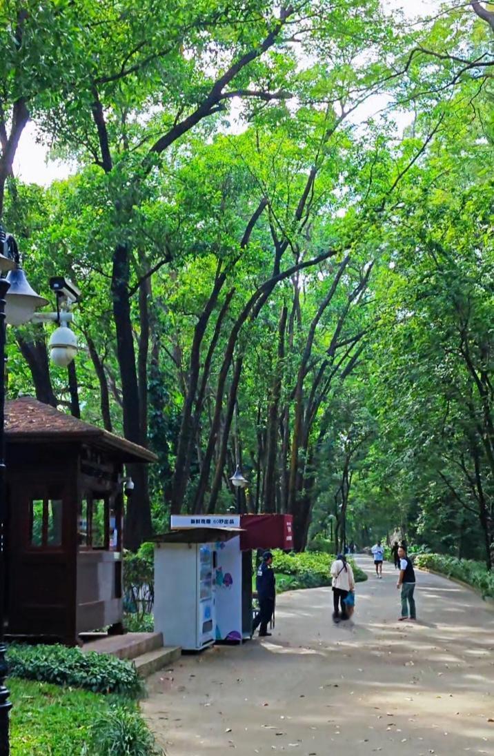 深圳12月的风景，花红树绿，一片春意盎然。气温不冷不热，应当是一年中气温最舒服的