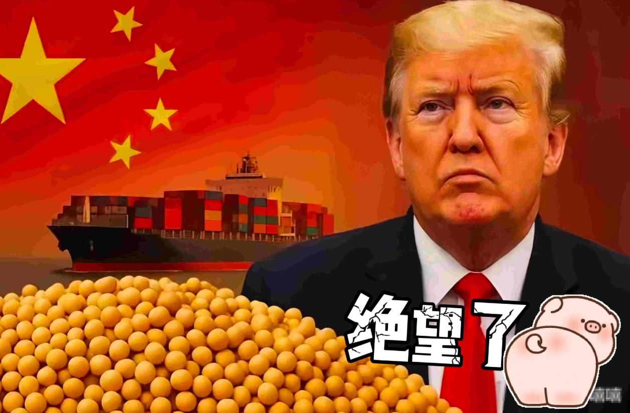 哭到缺氧特朗普刚发布了一项重要指令！10月23号，美国农业部重新开门，说要给