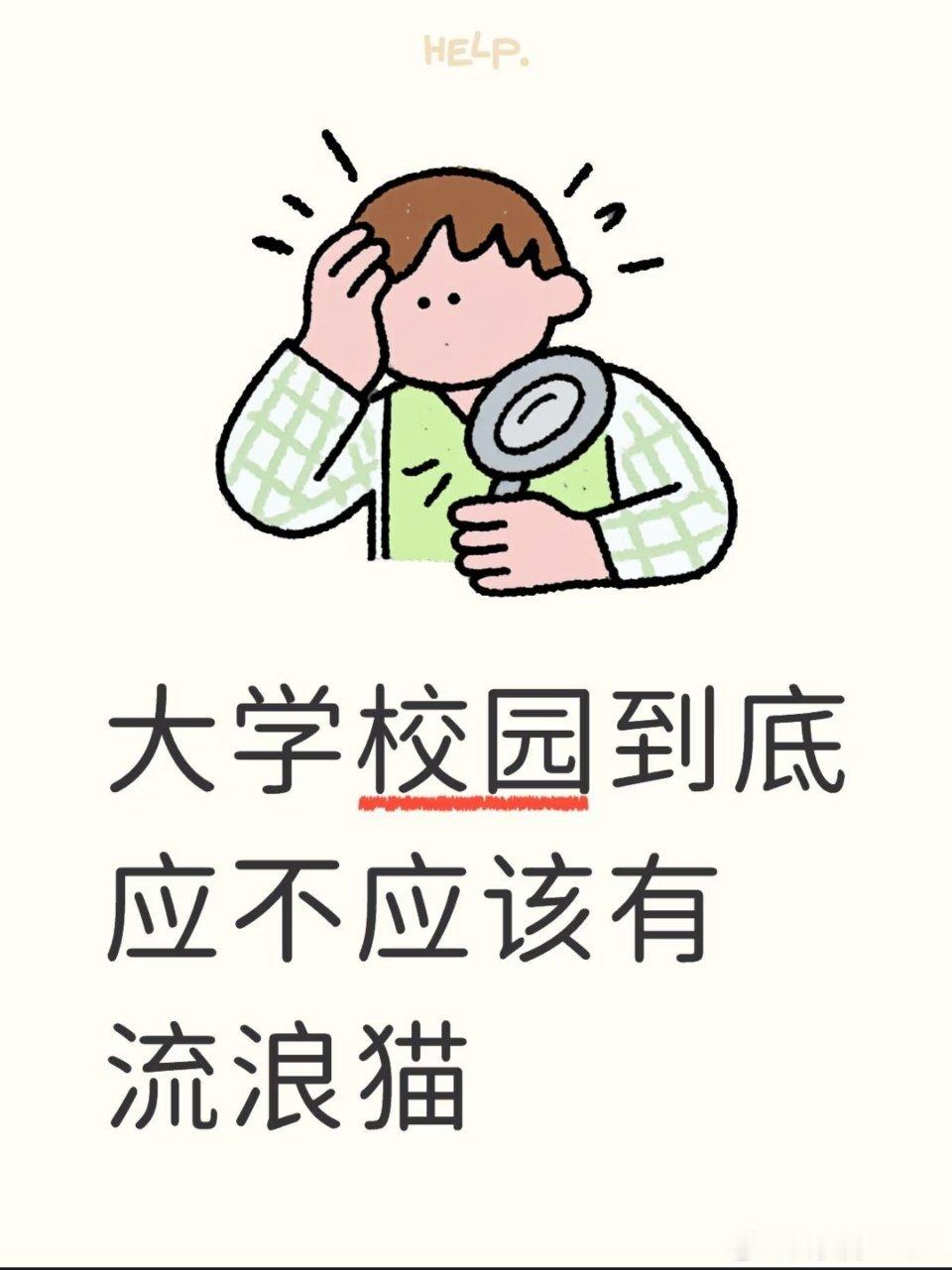 讨论：大学校园里到底应不应该有流浪猫？​​​