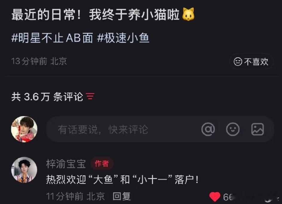 梓渝我终于养小猫啦…而且还是两只哦一只叫“大鱼”一只叫“小十一”