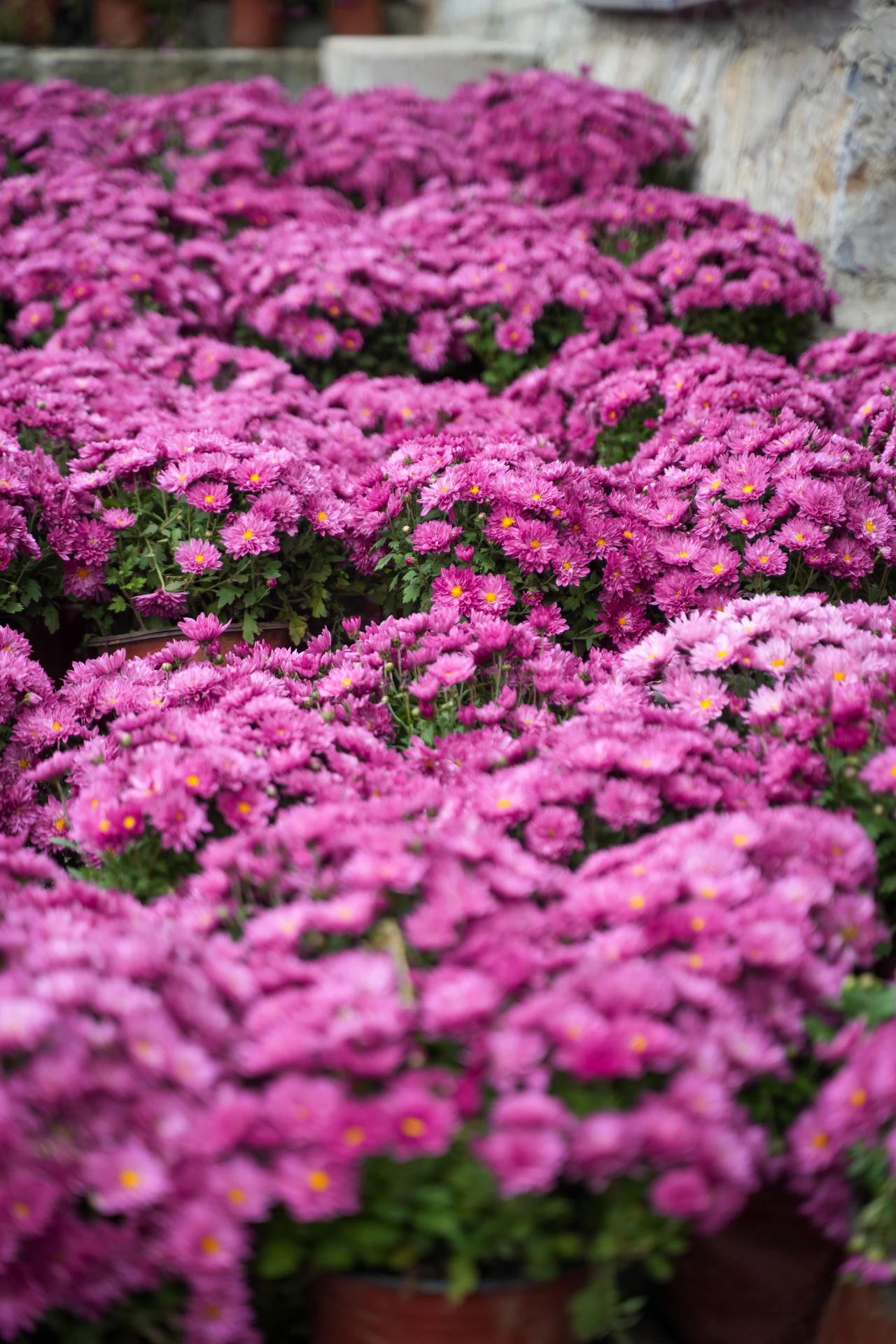 工资决定人的外表：1.月薪2000——只刷牙，出门2.月薪2500——刷个