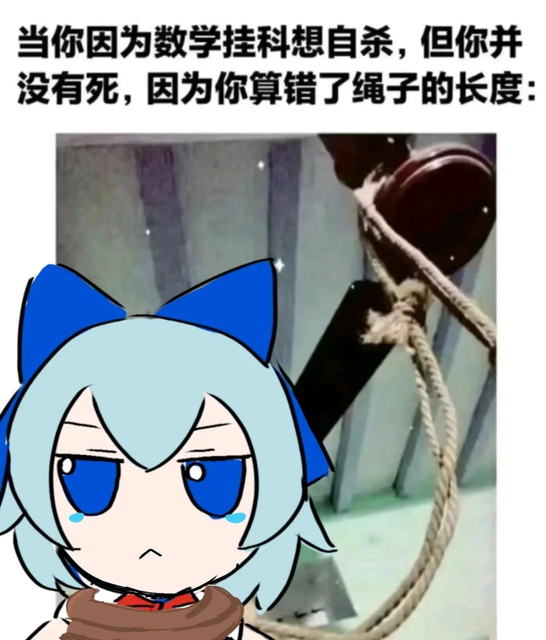 笨蛋​​​