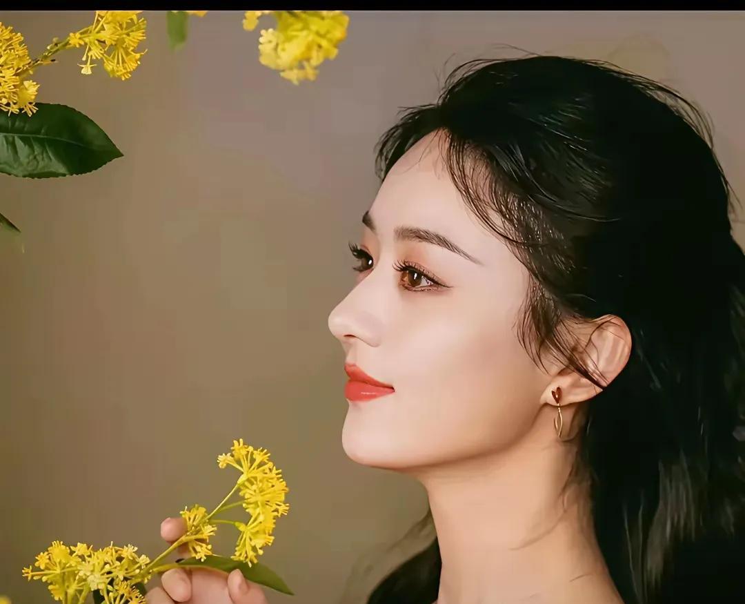 #赵丽颖的角色塑造力有多强#我觉得《与凤行》这部剧，如果不是赵丽颖来演，其它任
