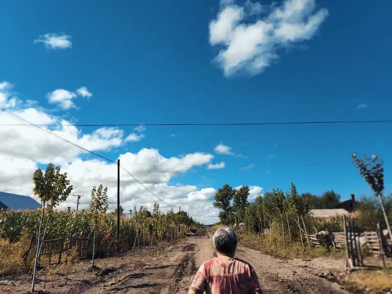被生活狠狠点醒！孩子可以不要爷爷奶奶，不要爸爸妈妈，不要任何亲人，但一定要外婆