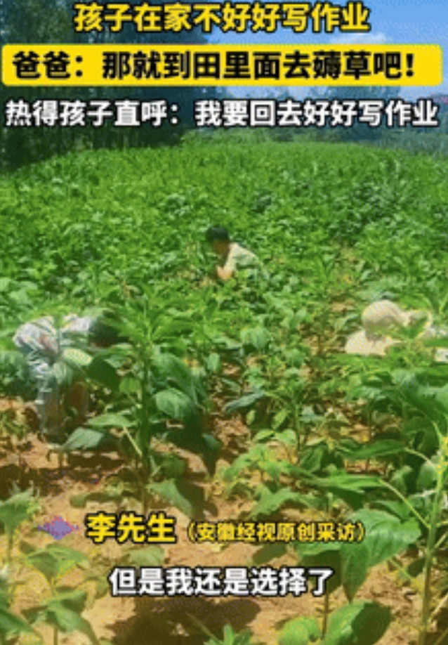 这下老实了！安徽阜阳，一男子因孩子不好好写作业，便带着他们到地里薅草，不料，还没