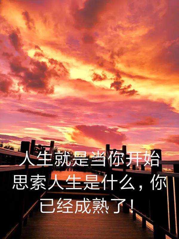 人到中年，就像步入了一场温柔又静谧的时光之约。曾经日夜兼程去拼搏，以为那才是人生