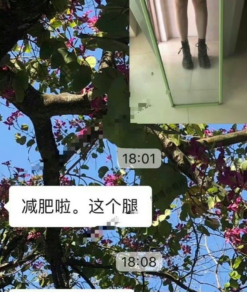 在我男朋友说我腿粗后​[汗]​​​