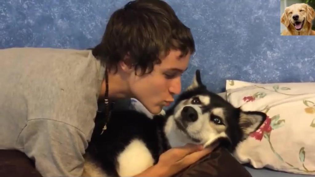 我叫山鸡视频完整版 2268916598334156449.jpg?id=0