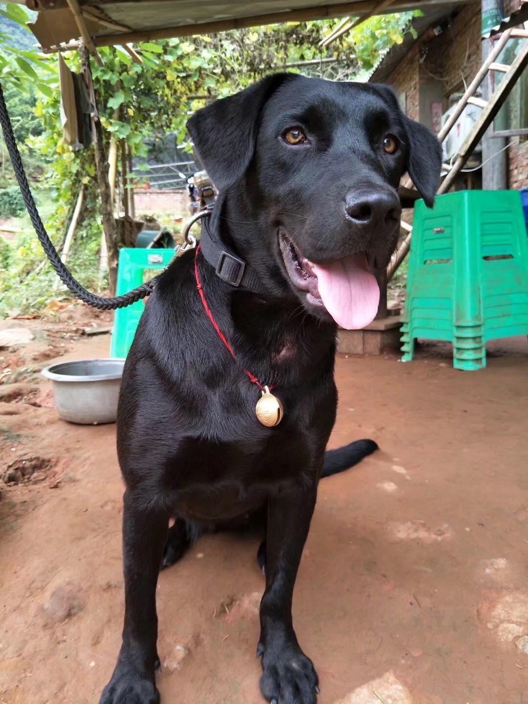 这些图片是拍摄于2018年，你们的图片我一张都舍不得删掉