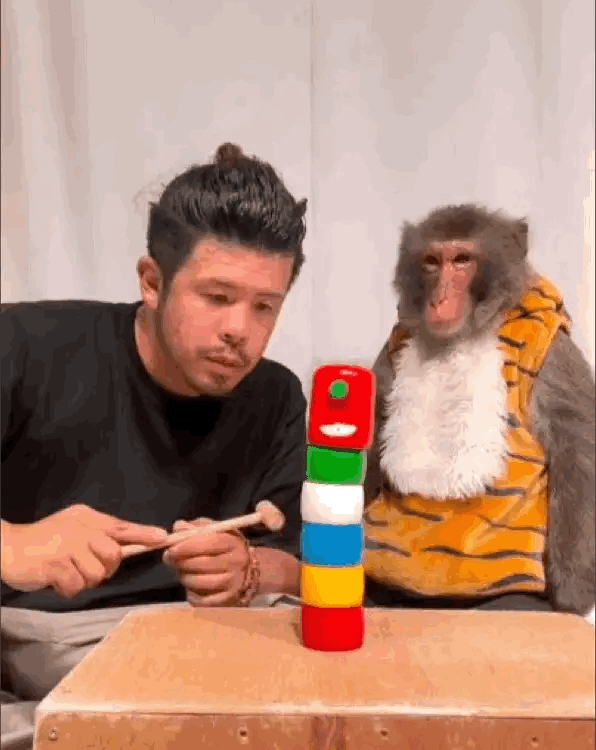 不是问题，完全明白！就是OK。