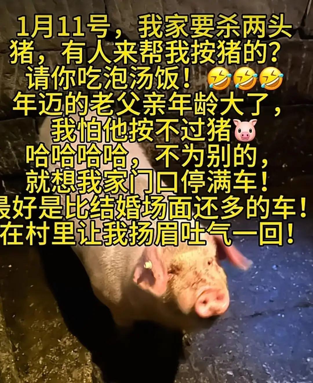 一切都解释得通了，之前呆呆家为什么那么在村里不受待见，杀猪都没人帮忙了。