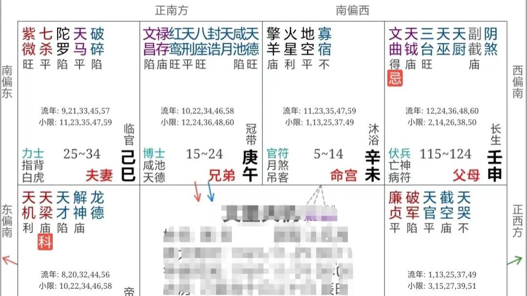 紫微斗数案例61财官: 这才是最正宗的, 让你大发横财的武贪格