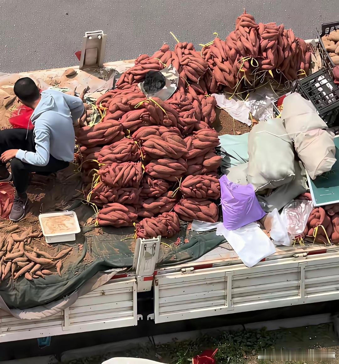 原来红薯的卖相全靠袋子，说白了就是商家的小心机！用红袋子给红薯“染色”。