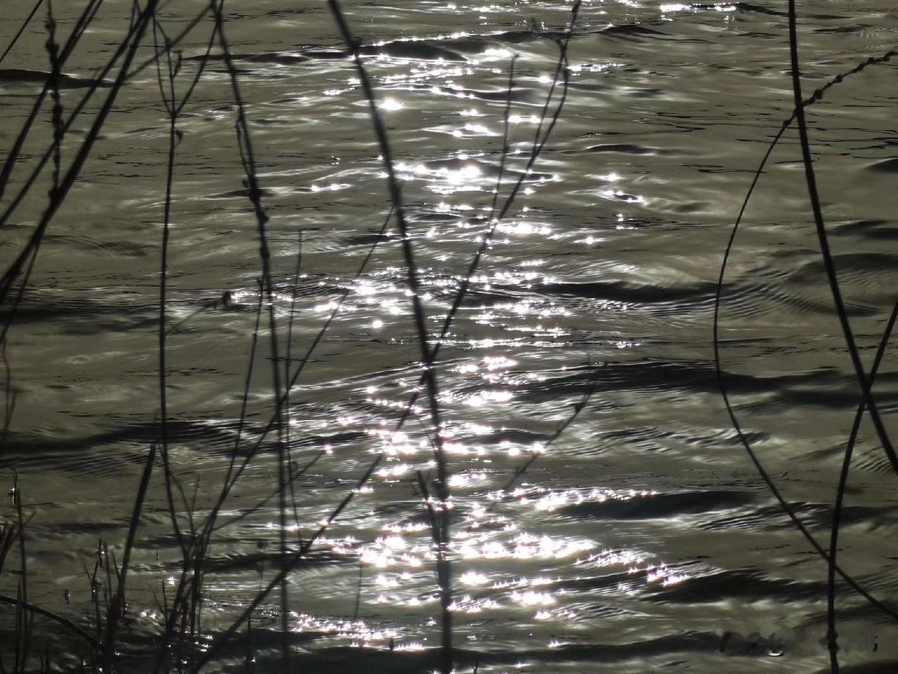 你信不信？婆媳关系的好坏，完全取决于儿媳妇身上的三个臭毛病。一，没有教养。如果