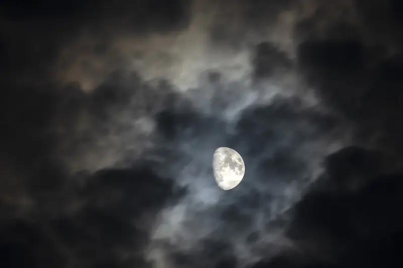 月光下的森林安睡曲夜色像一块柔软的深蓝色绒布，轻轻盖住了整片