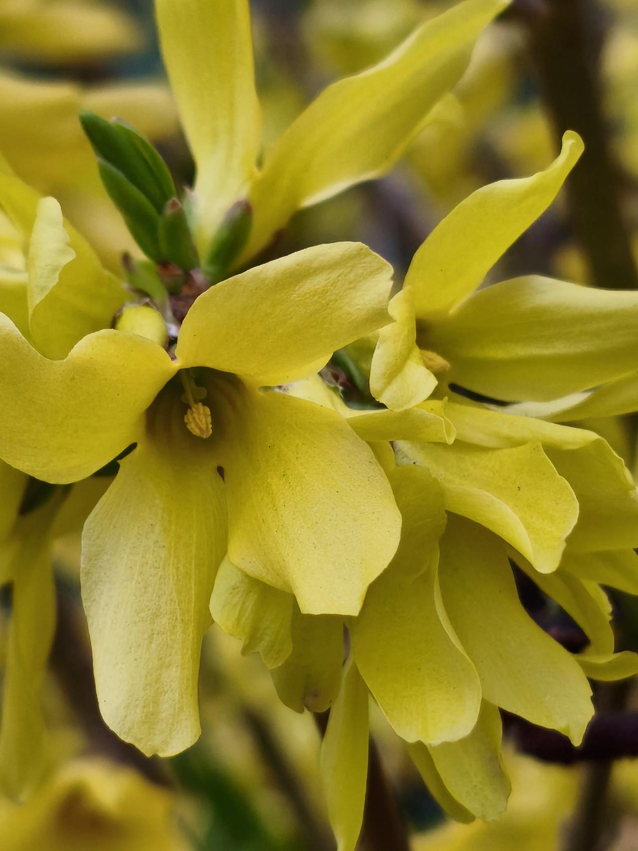 早上做早餐去拿鸡蛋，鸡蛋没了，又岀去买了盘鸡蛋，15元花出去了。也不知从啥时