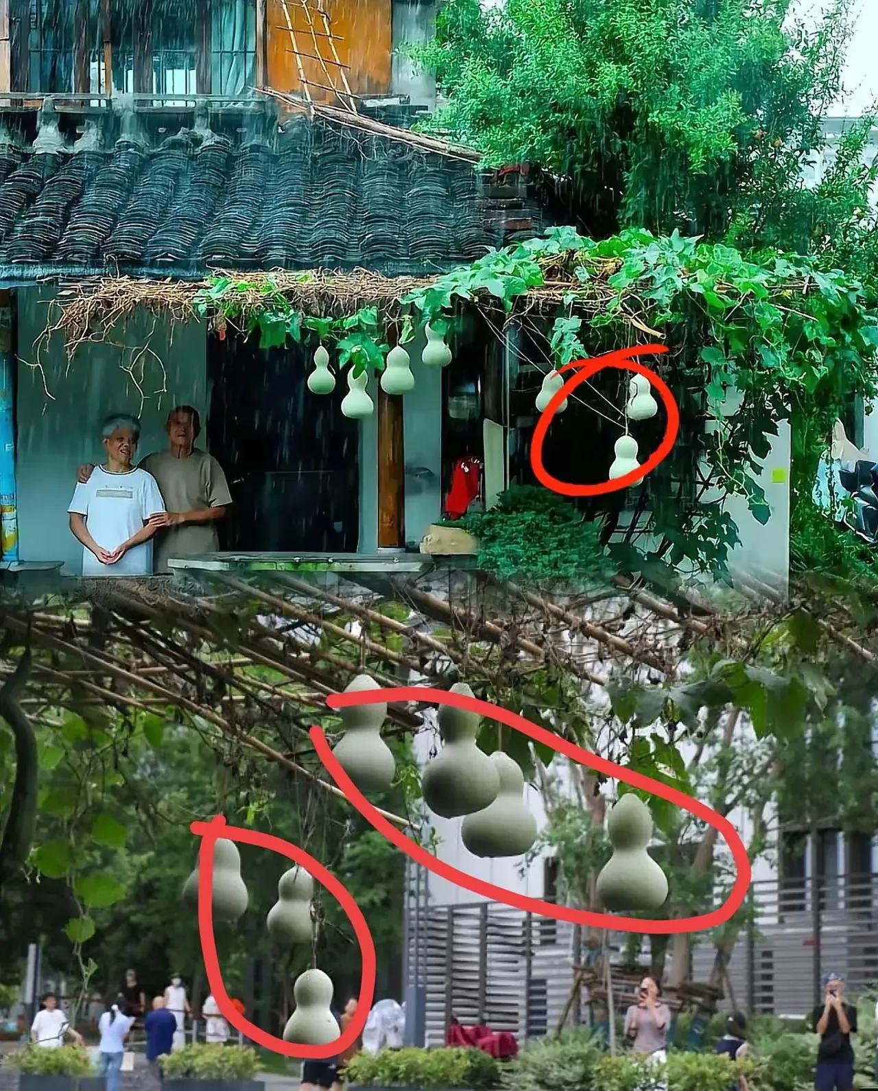 没人发现这点很奇怪吗？绍兴葫芦爷爷明明把葫芦剪下来了，结果又挂上去，这后面一