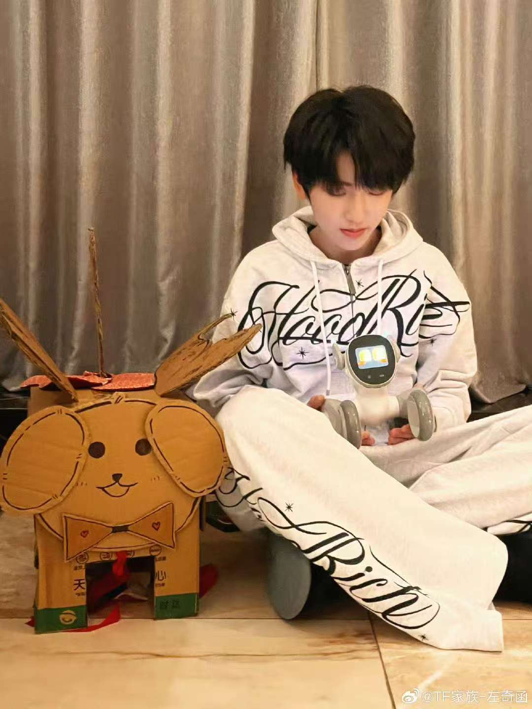 左奇函国际小狗节营业左奇函来也！